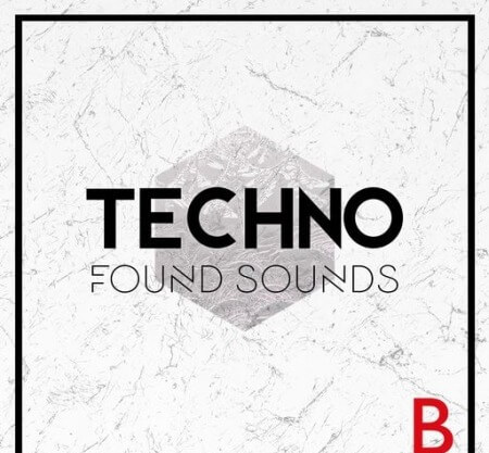 Whitenoise Records Techno Found Sounds B WAV
